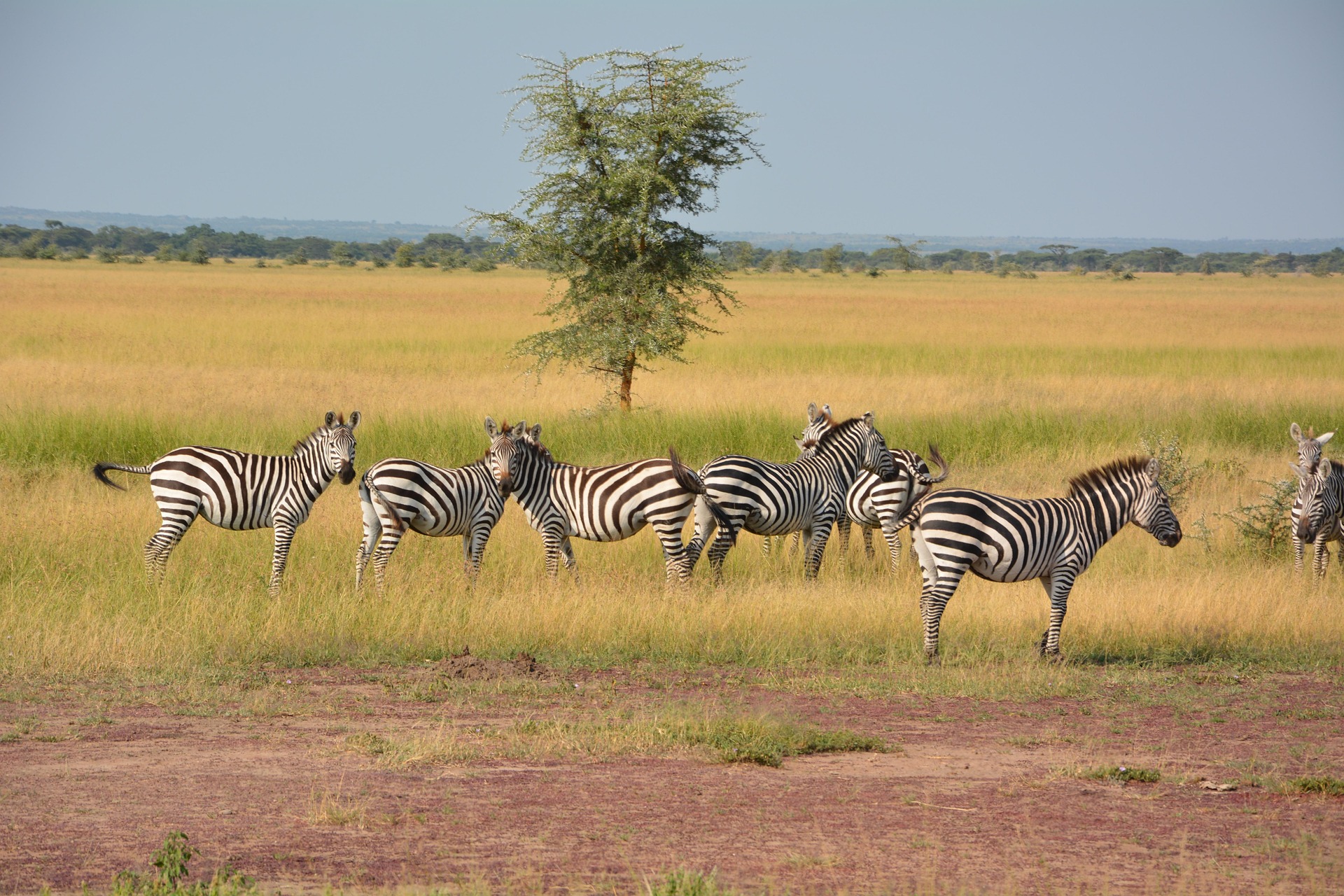 About SUPER TOURS AFRICA